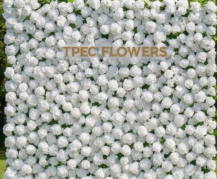 TPEC Flowers | Luxury Rose Backdrops for Events in Austin, TX